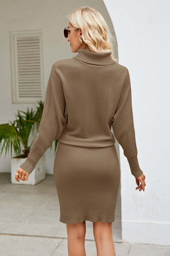 Back view of a woman wearing a brown ribbed mock neck long sleeve dress with a bodycon silhouette