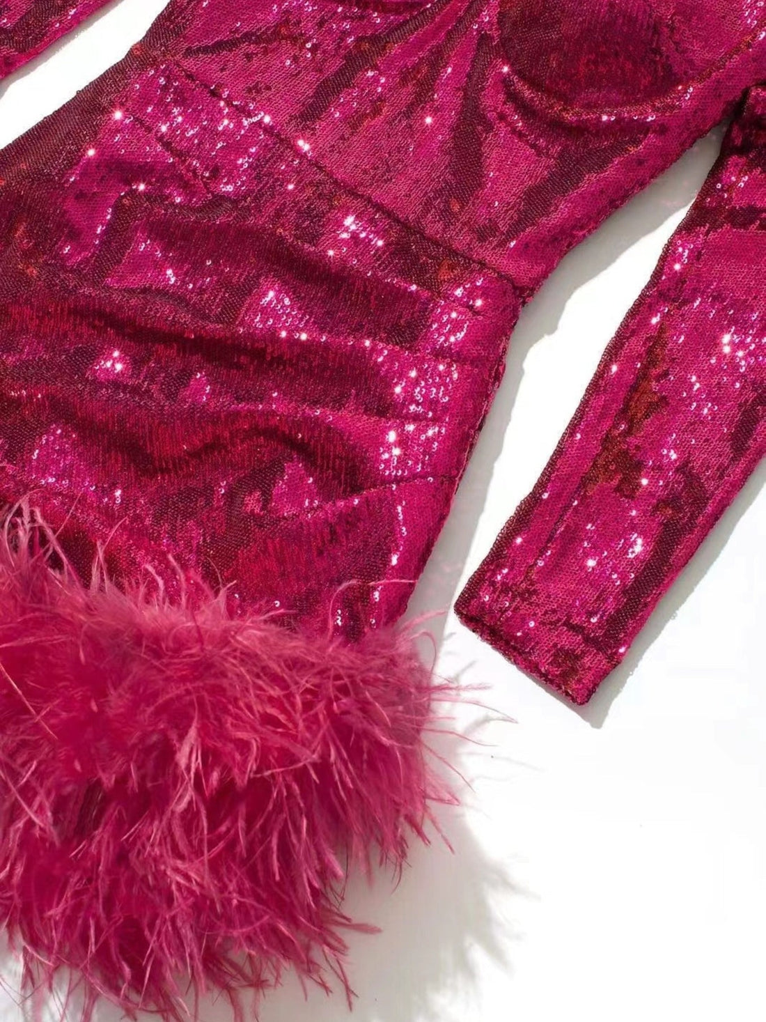 Sequin Feather Trim Mini Dress | Glam Party Look - Jsandiclothing.com