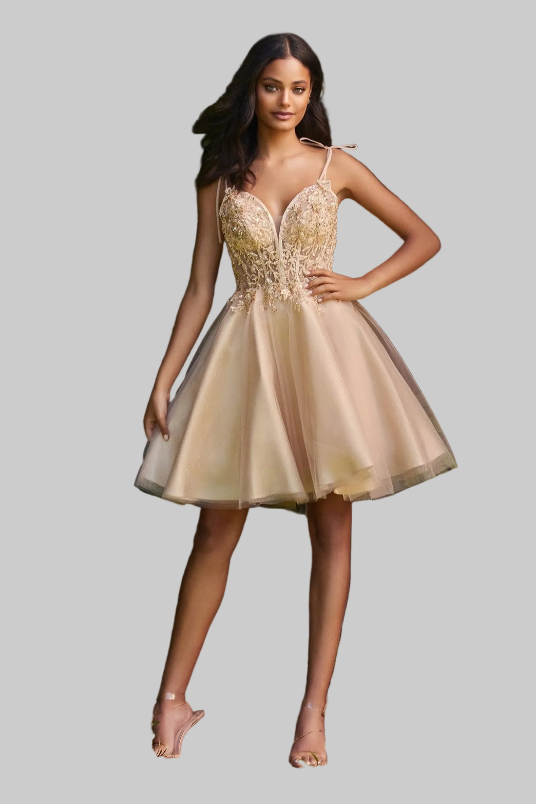 Tulle Sleeveless Laced Appliqué Floral Bodice Princess Babydoll Skirt Short Cocktail Dress - Jsandiclothing.com